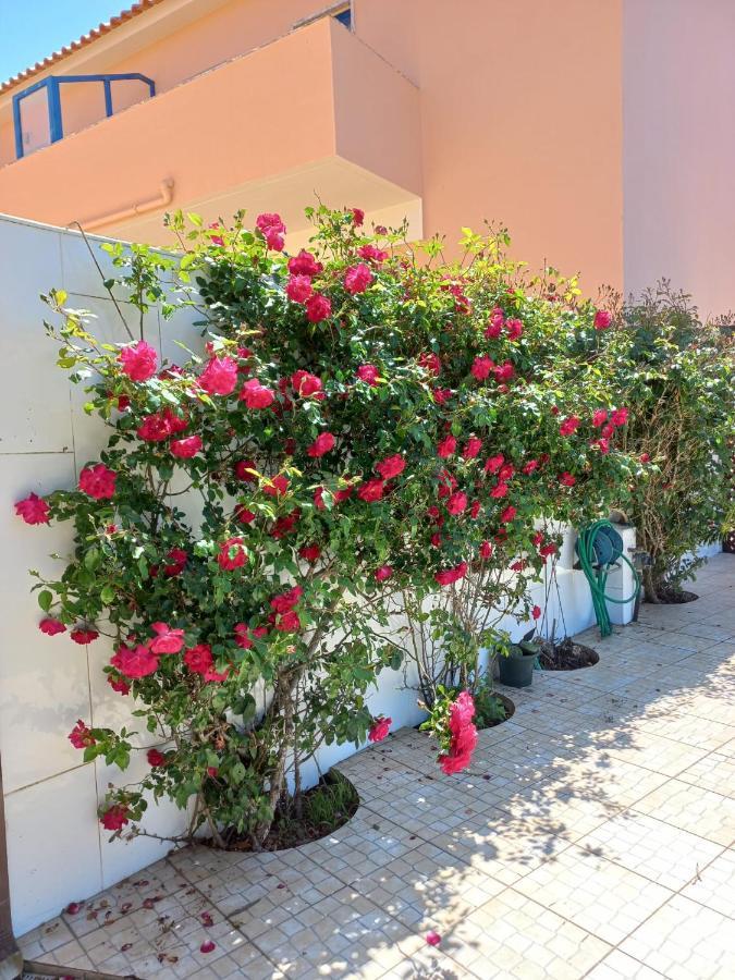 Apartament Casa Do Portao Azul - Salmonete Atouguia Da Baleia Zewnętrze zdjęcie